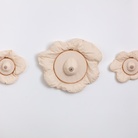 Silia Ka Tung. The Mushroom at the end of the world