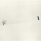 Luciano Ferri per Studio Villani, Albero nella neve, Stampa alla gelatina bromuro d’argento su carta | © Archivi Alinari / Archivio Villani
