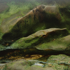 Cole Weston, Rocks, Point Lobos, 1998 | © Cara Weston