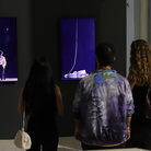 Bill Viola. Ritorno alla vita