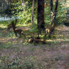 Pompeo Mariani, Parco di Monza, rumore nel bosco. Olio su tavola, 37 x 75 cm