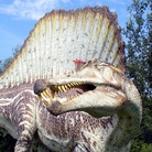 Spinosaurus: il gigante perduto del Cretaceo