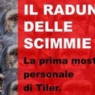 Tiler. Il raduno delle scimmie