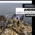 Andreco. Nature as art. Una pratica artistica - Incontro