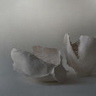 Iris Nesher. The Fault Line