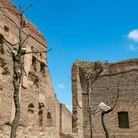 Idee di pietra. Giuseppe Penone a Caracalla