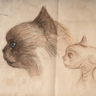 Carlo Rambaldi, Da gatto Kikka a ET, Studio per il volto di ET rielaborando il muso della sua gatta | © Fondazione Culturale Carlo Rambaldi