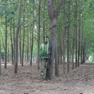 Liu Bolin, Zona verde, 2010, Stampa fotografica ultra giclée su alluminio