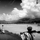 Lashkars. Fotografie di Massimo Berruti