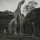 Kenro Izu, Angkor #26, Cambodia, 1993, dalla serie “Sacred Places”, stampa ai pigmenti, 72x102 cm