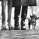 Elliott Erwitt. Family