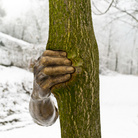 Giuseppe Penone. Scultura