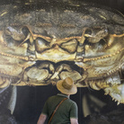 Rotor, What’s Eating the Chinese Mitten Crab | Foto © Jan D’Hondt, via Flickr | Courtesy of VISITFLANDERS Fladre e Bruxelles