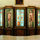 Museo di palazzo Poggi, Bologna | www.museopalazzopoggi.unibo.it