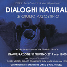 Giulio Agostino. Dialoghi naturali