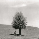 Fulvio Roiter, L’uomo e l’albero, 1950 | © Archivio Storico Circolo Fotografico La Gondola Venezia