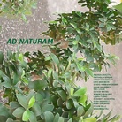 Ad Naturam