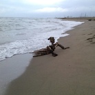Il Sedicente Moradi, IL NAUFRAGO, assemblaggio di legno. Spiaggia della lecciona (LU) - 13 agosto 2014