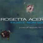 Rosetta Acerbi. Fiori e non solo