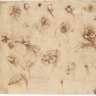Leonardo Da Vinci, Studio di fiori, Gallerie dell’Accademia, Venezia