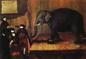 immagine di L'elefante