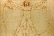 immagine di Uomo Vitruviano