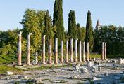 immagine di Foro