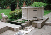 immagine di Giardino e piano terra