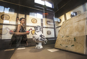 immagine di EXPO Picasso