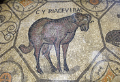 immagine di Cripta degli Scavi