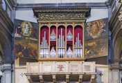 immagine di Organo