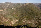 immagine di Bosco di San Francesco