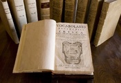immagine di Vocabolario degli Accademici della Crusca