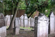 immagine di Antico cimitero ebraico