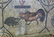 immagine di Gallo e Tartaruga