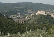 immagine di Rocca Albornoziana