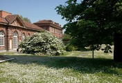 immagine di Museo di Antichità