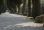 immagine di Via Sacra