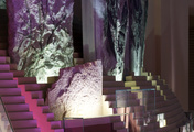 immagine di Museo di Storia Naturale