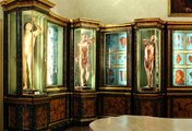 immagine di Musei di Palazzo Poggi