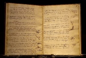 immagine di Codice sul volo degli uccelli