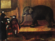 immagine di L'elefante