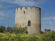 immagine di Torre di Belloluogo