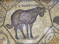 immagine di Cripta degli Scavi