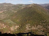 immagine di Bosco di San Francesco