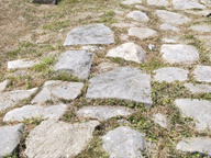 immagine di Basilica civile e Strada