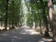 immagine di Parco delle Cascine