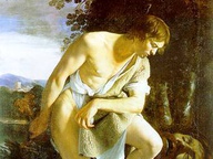 immagine di David con la Testa di Golia