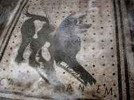 immagine di Casa del poeta tragico
