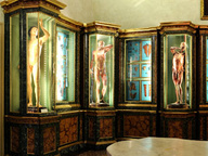 immagine di Musei di Palazzo Poggi